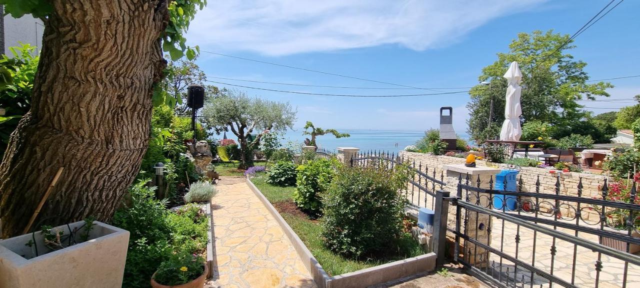 App Maria 1 Daire Zambratija  Dış mekan fotoğraf